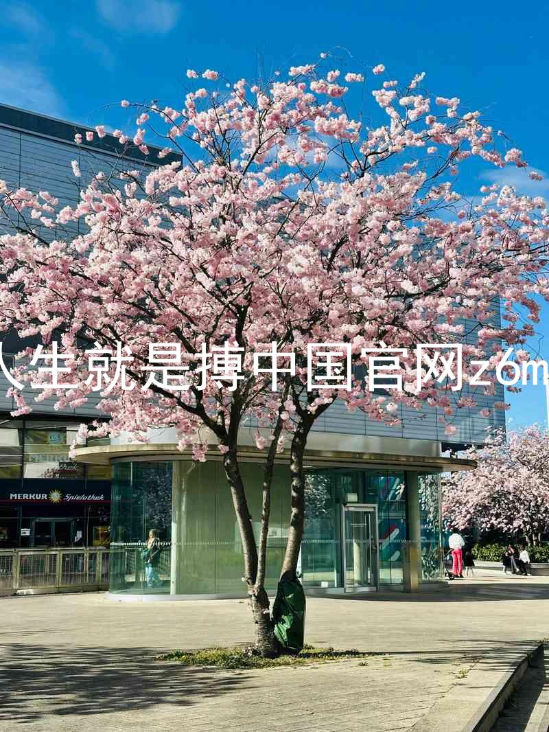 人生就是搏中国官网z6mg